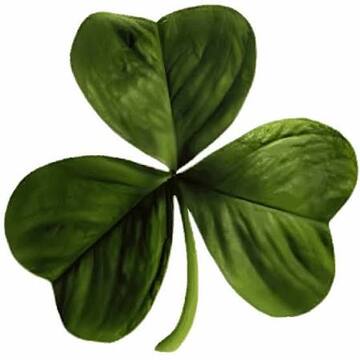 Shamrocks House